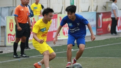 Caheo - Trang trực tiếp bóng đá stoners.social uy tín